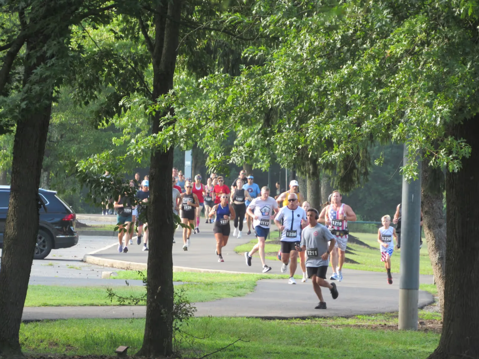 The tree-lined stretch through the park